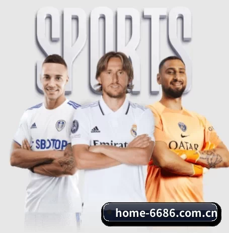 6686体育 APP