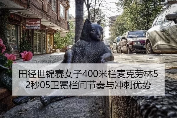 tian-jing-shi-jin-sai-nv-zi-mi-lan-mai-ke-lao-lin-miao-wei-mian-lan-jian-jie-zou-yu-chong-ci-you-shi-2-845.jpg